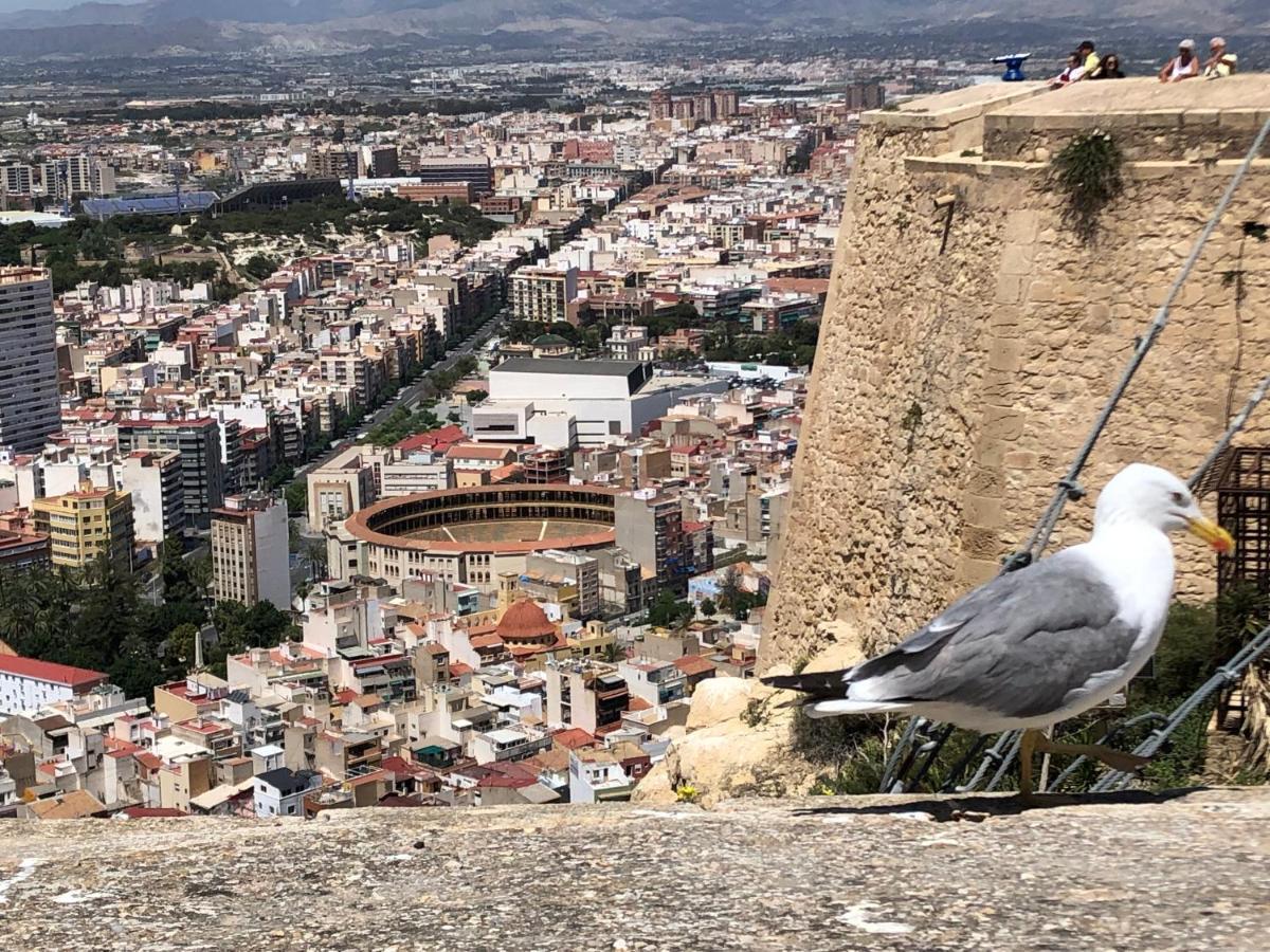 Calle San Carlos 132 Alicante Dış mekan fotoğraf